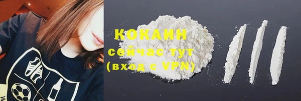 прущий лед Арсеньев